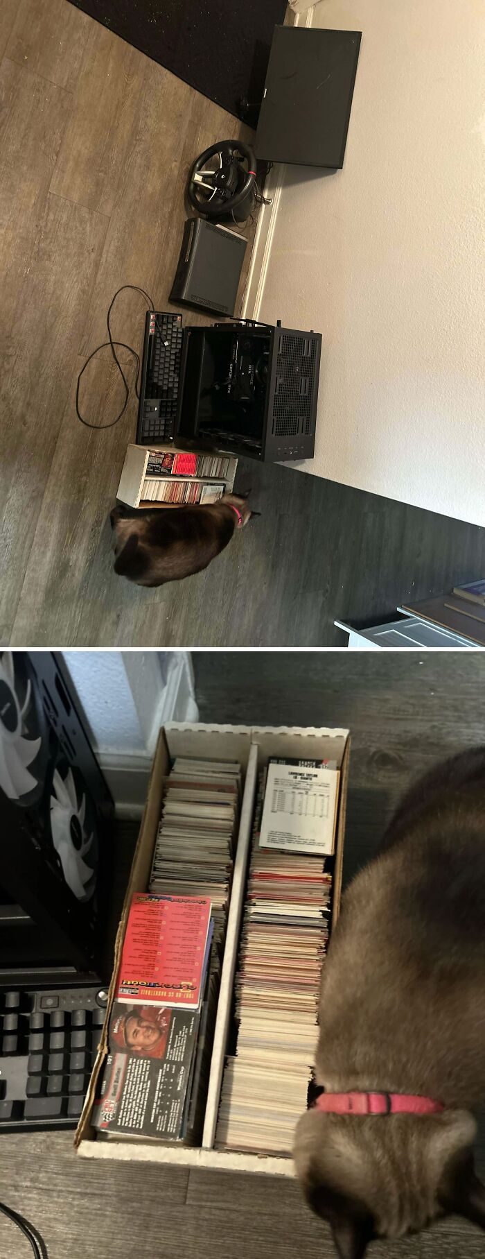 My Biggest Dumpster Find Yet—Electronics and Collectibles Galore