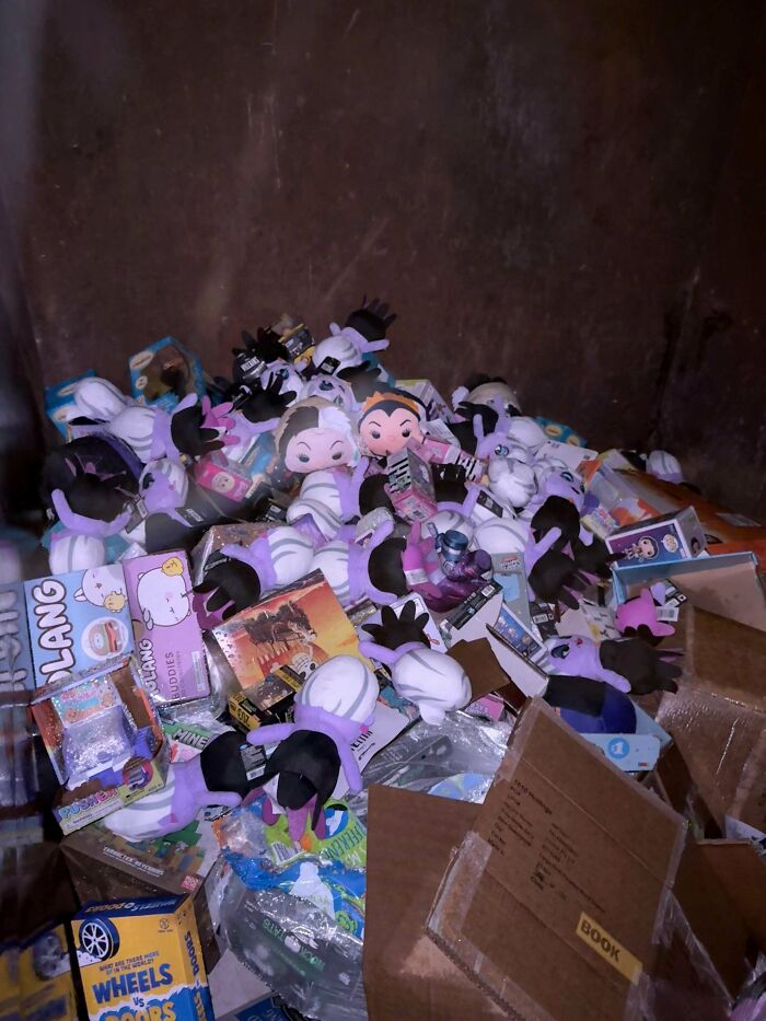 Who Loves Dumpster Diving in the Rain? Me! Toys for Tots Haul