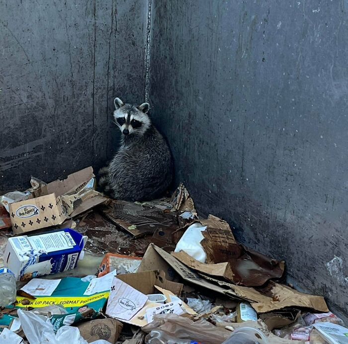 An Exciting Dumpster Diving Afternoon—Check This Out!