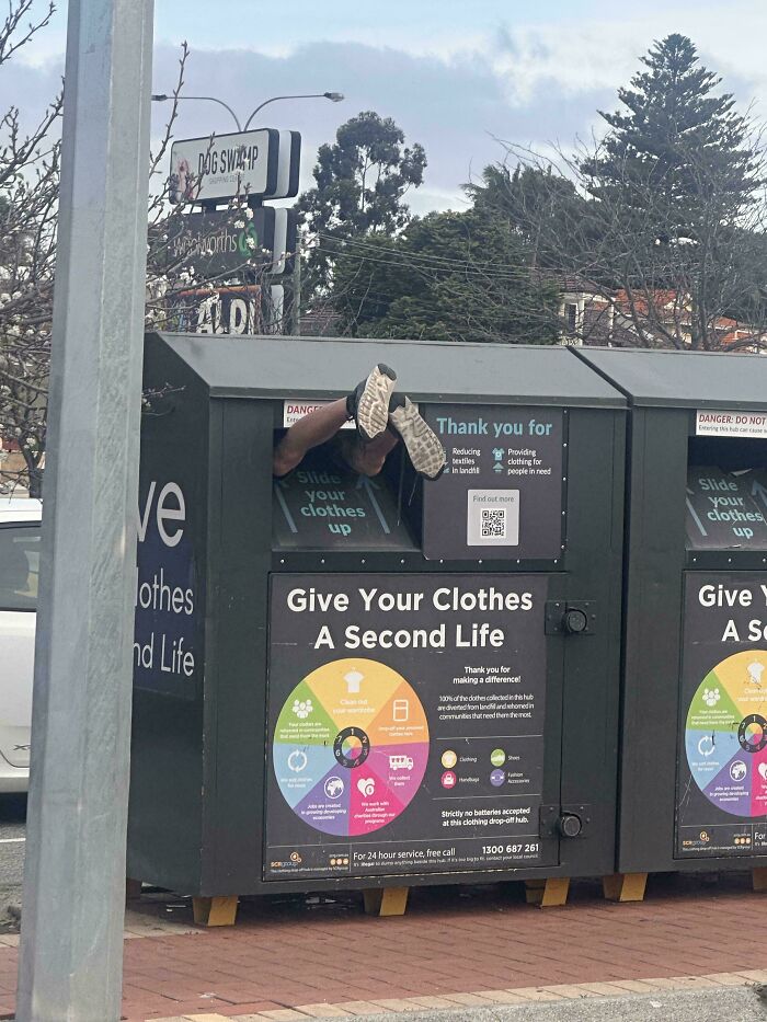 Dumpster Diving Gets a Cool Upgrade—Check This Out