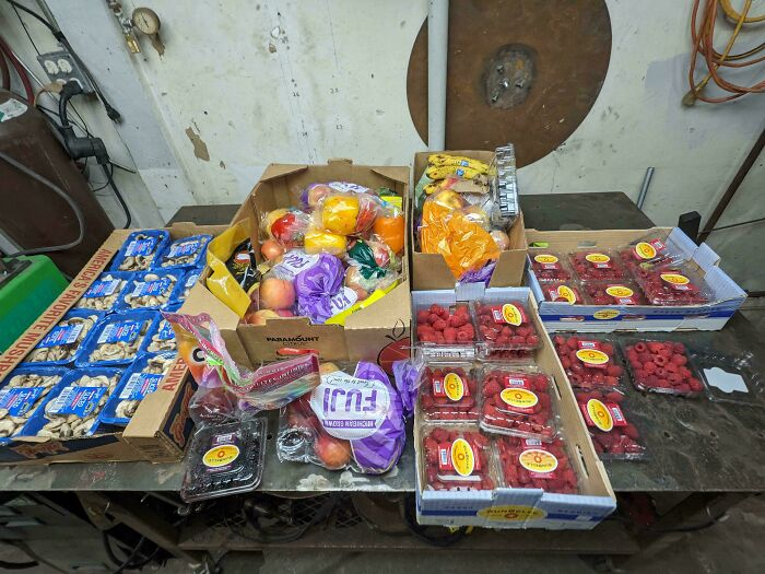 Best Produce Haul Yet—Fresh from the Trash!