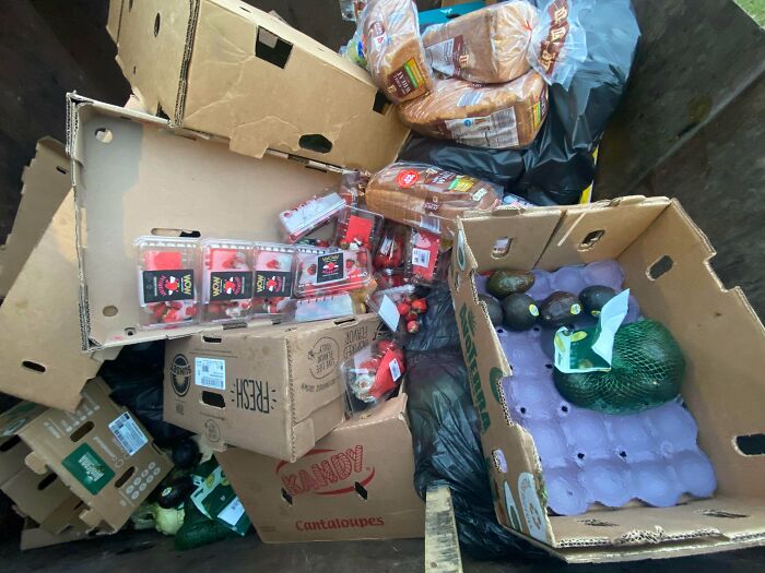 How Millennials Can Afford Avocado Toast? Dumpster Style!