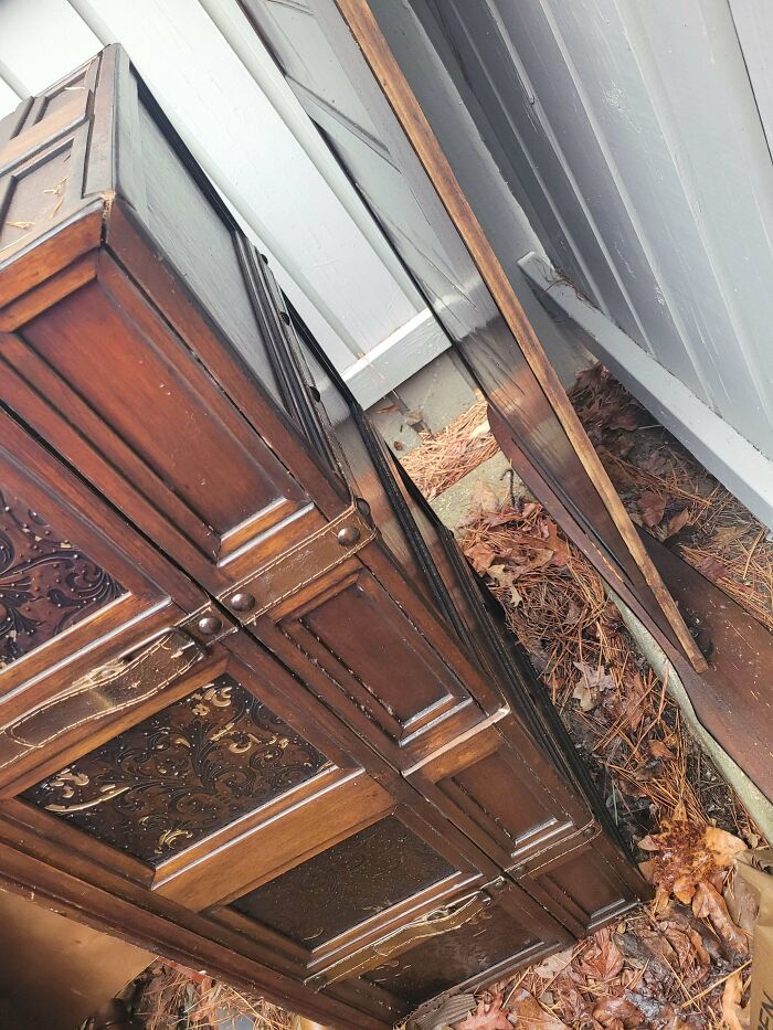 Dumpster Diving Love Story: My Miracle Baby