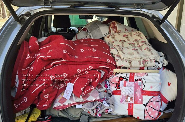 Cozy Blanket Haul straight from the Trash