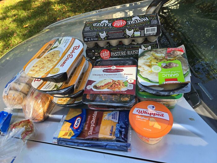 Surviving on Dumpster Food—It’s Possible!