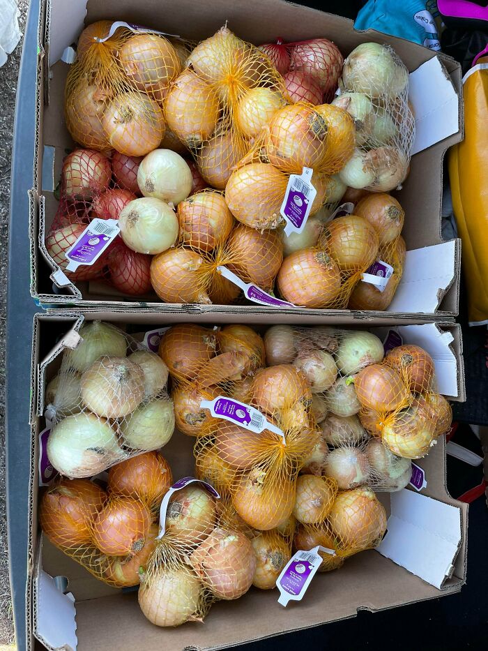 Jumped in Just Before These Got Tossed—Score!
