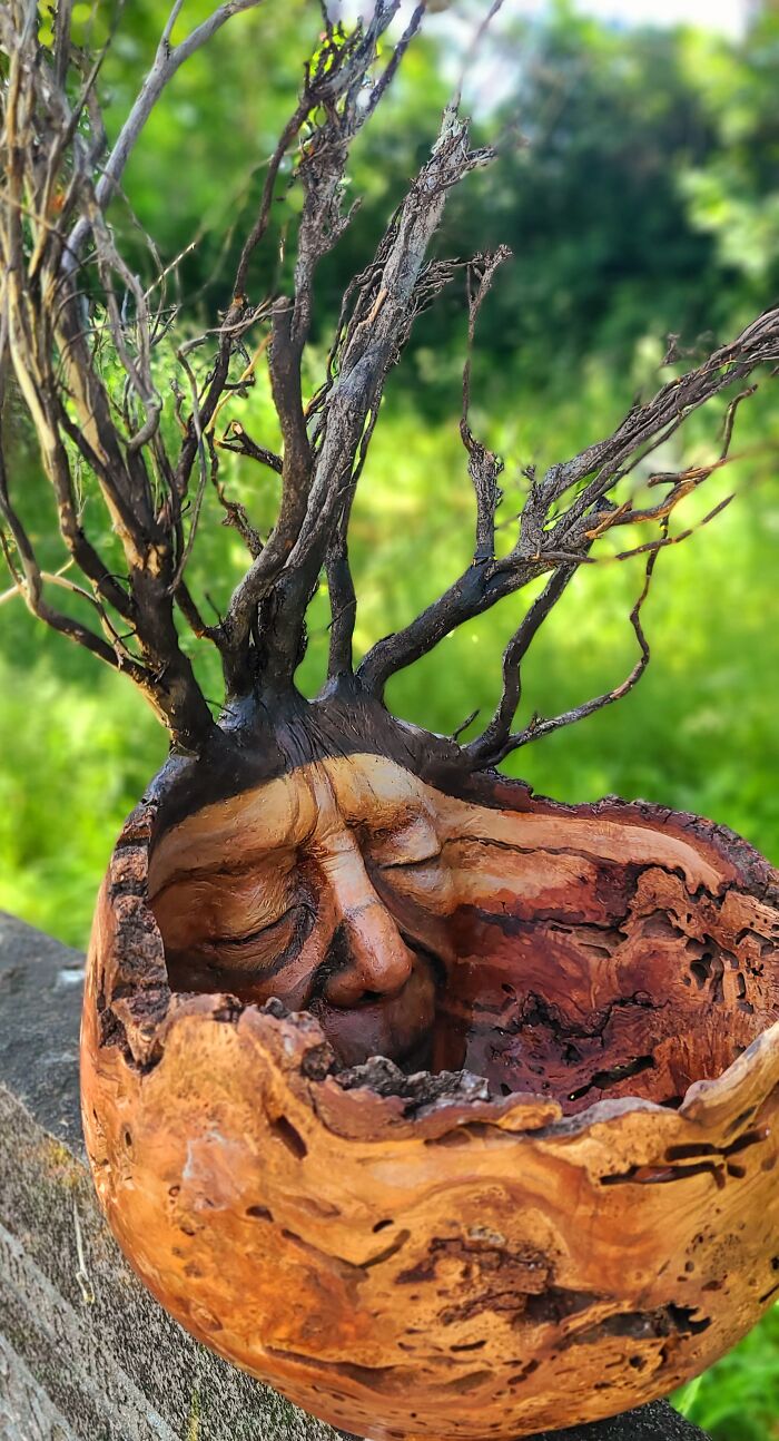 Wait, This Driftwood Art Literally Looks Like Nature Came to Life!