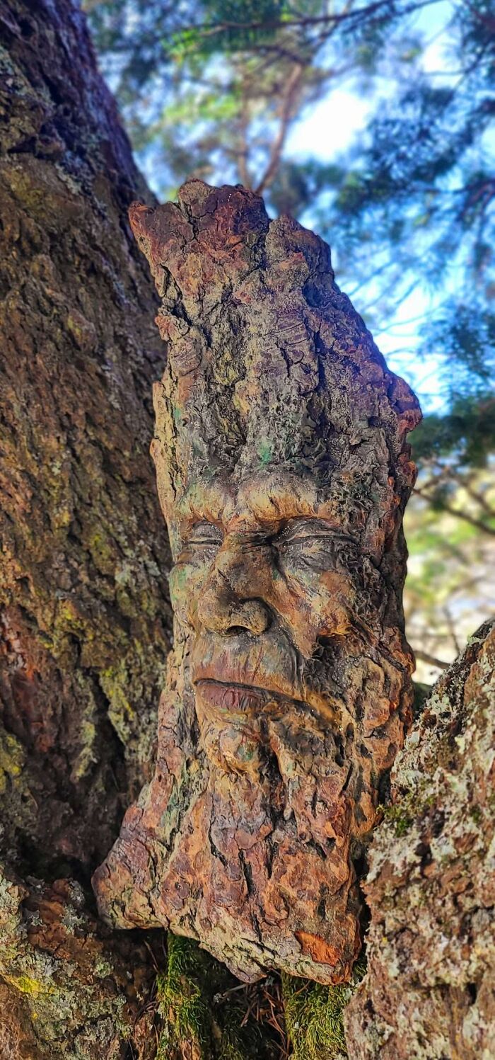 Wait, This Driftwood Art Literally Looks Like Nature Came to Life!
