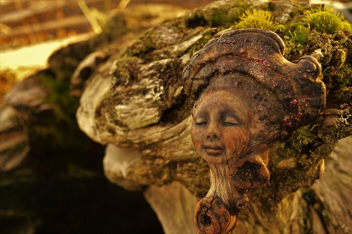 Wait, This Driftwood Art Literally Looks Like Nature Came to Life!