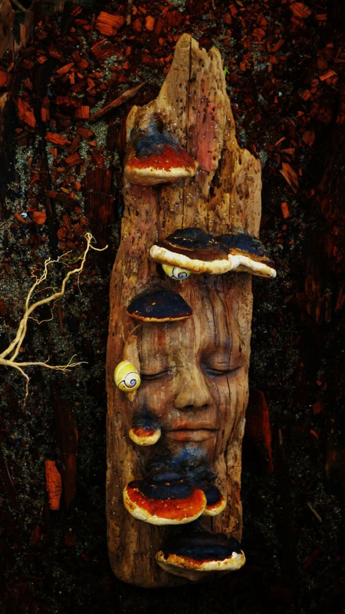 Wait, This Driftwood Art Literally Looks Like Nature Came to Life!