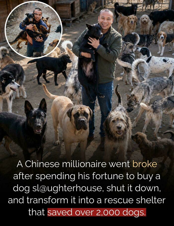 Wang Yan: Above Middle Class, Not a Millionaire, But Still Awesome