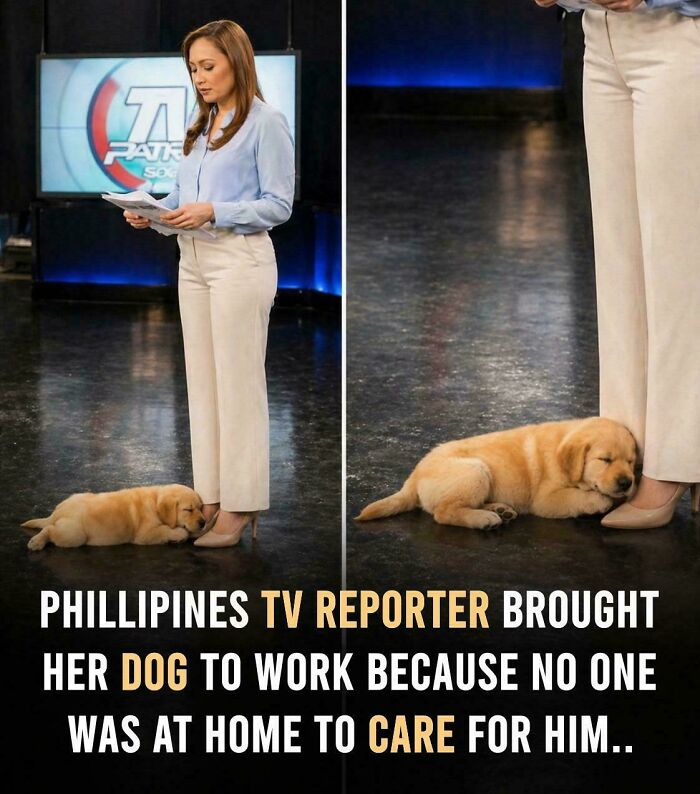 I Wish Everyone Could Be As Nice As Her
