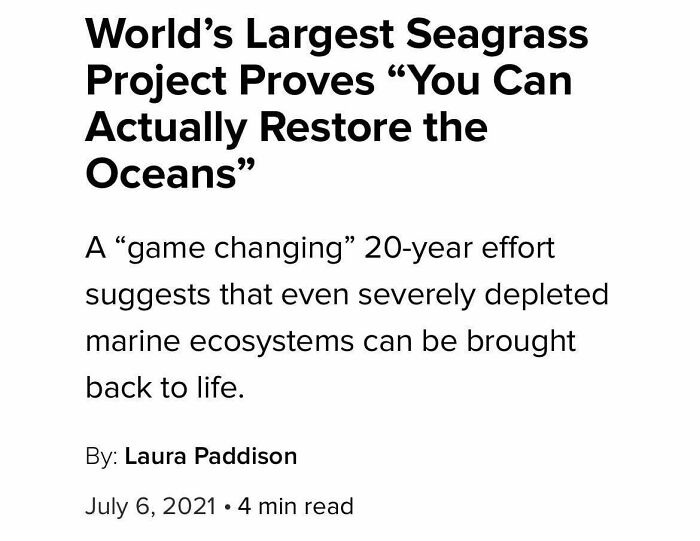 Good News Headlines To Brighten Your Day