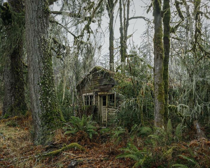 Let's Wander Through 55 Spooky Abandoned Spots in America!