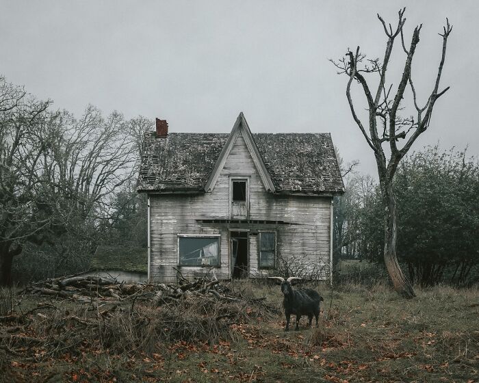 Let's Wander Through 55 Spooky Abandoned Spots in America!