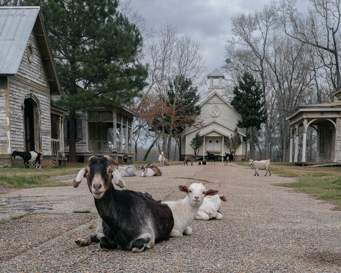Let's Wander Through 55 Spooky Abandoned Spots in America!