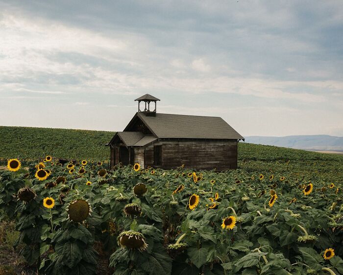 Let's Wander Through 55 Spooky Abandoned Spots in America!