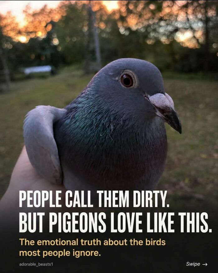 Wait, They Actually Ranked These Awesome Animal Facts?!