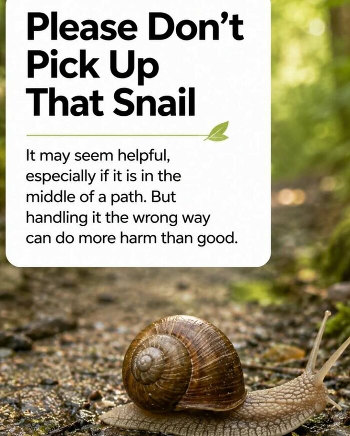 Wait, They Actually Ranked These Awesome Animal Facts?!