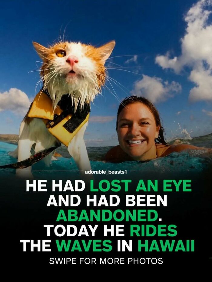 Wait, They Actually Ranked These Awesome Animal Facts?!