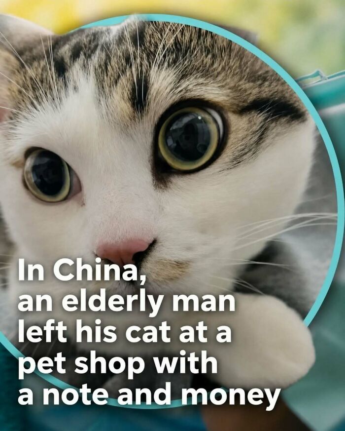 Wait, They Actually Ranked These Awesome Animal Facts?!