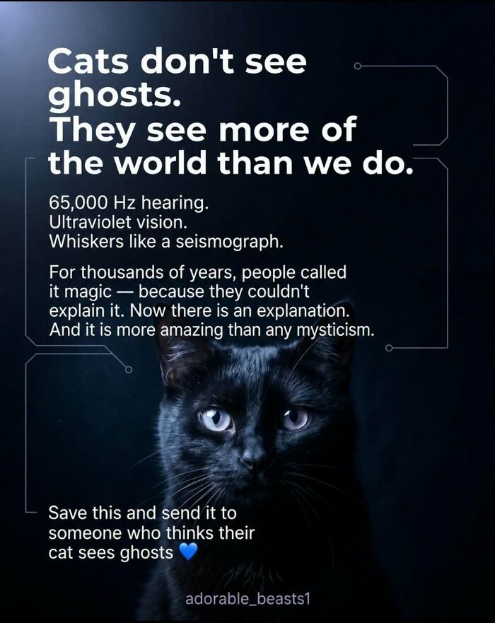 Wait, They Actually Ranked These Awesome Animal Facts?!