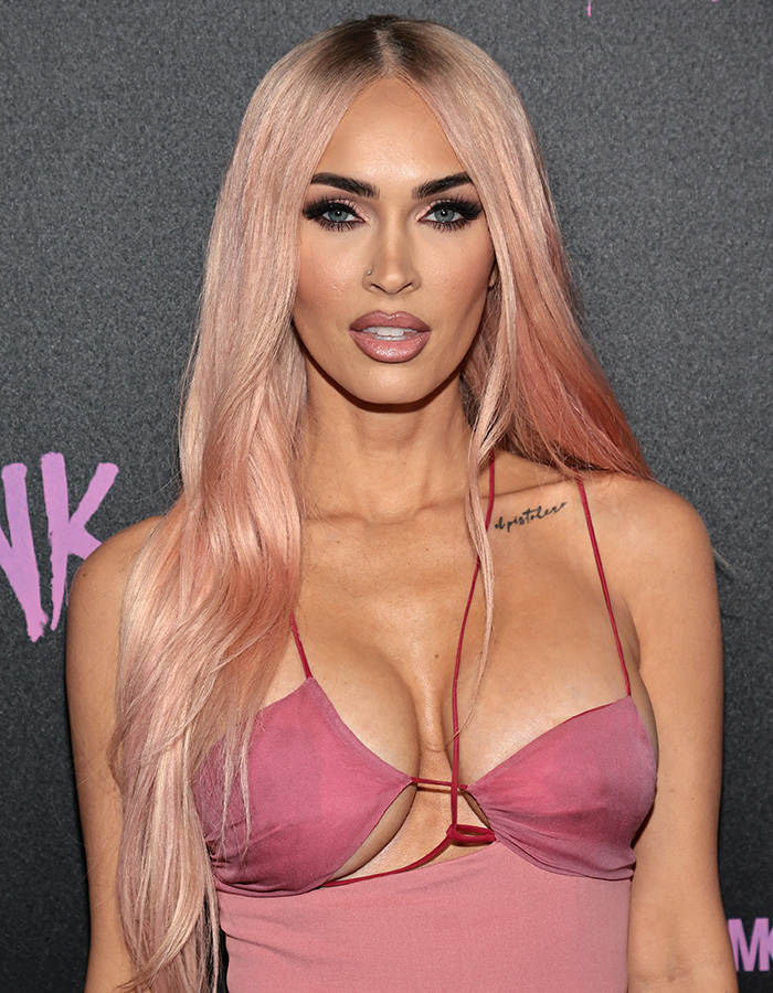 Megan Fox’s Nail Artist Fundraiser Drama