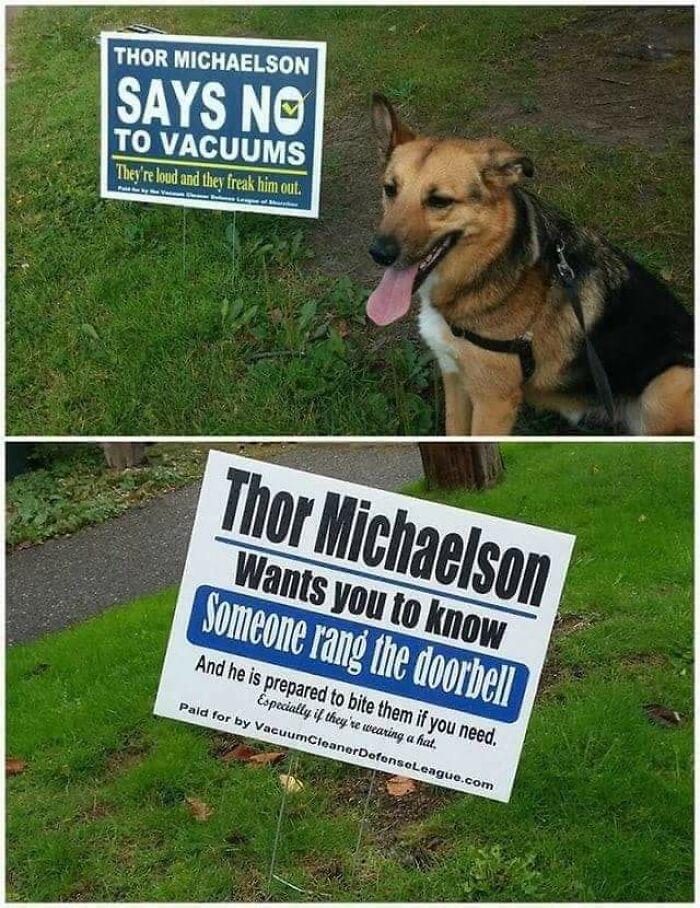 He’s Got My Vote, No Questions Asked