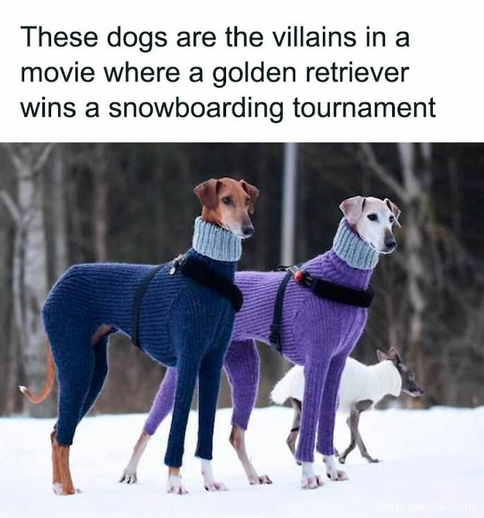 I’d Definitely Watch That