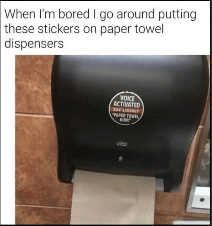 "Paper Towel Now!" The Scream You Didn’t Know You Needed
