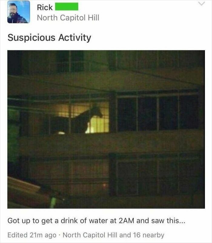 Nextdoor Drama? More Like Nextdoor Comedy!