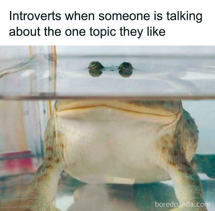 Introverts Unite... Separately