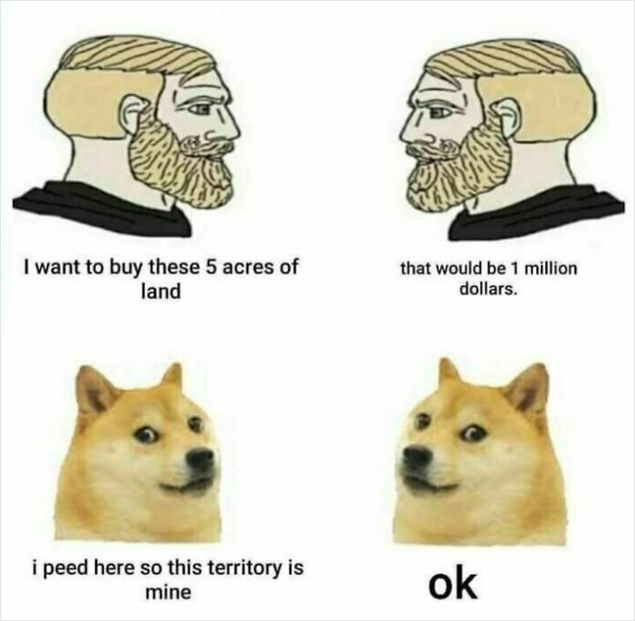 It’s Easier Being A Dog—Fact