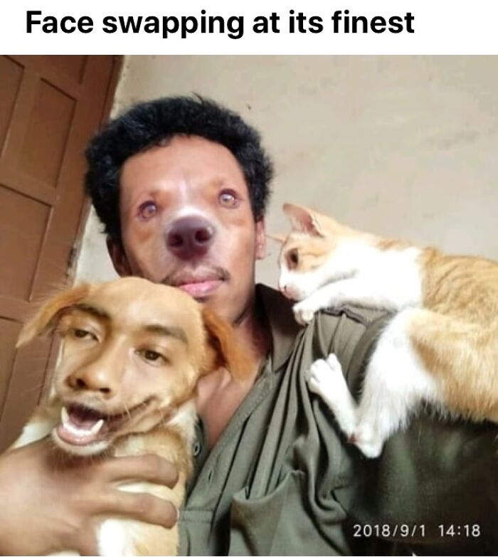Now THAT’S What I Call A Face Swap!