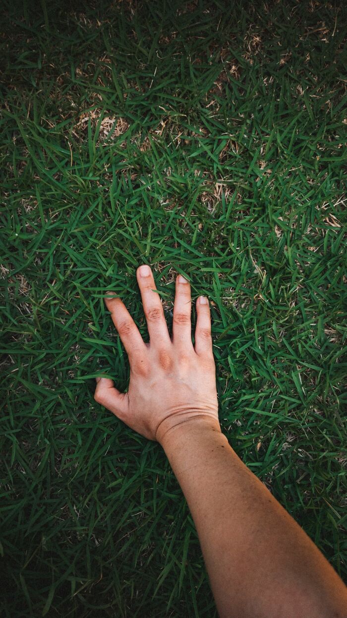 Wait, These Crazy Facts Are Actually Real?