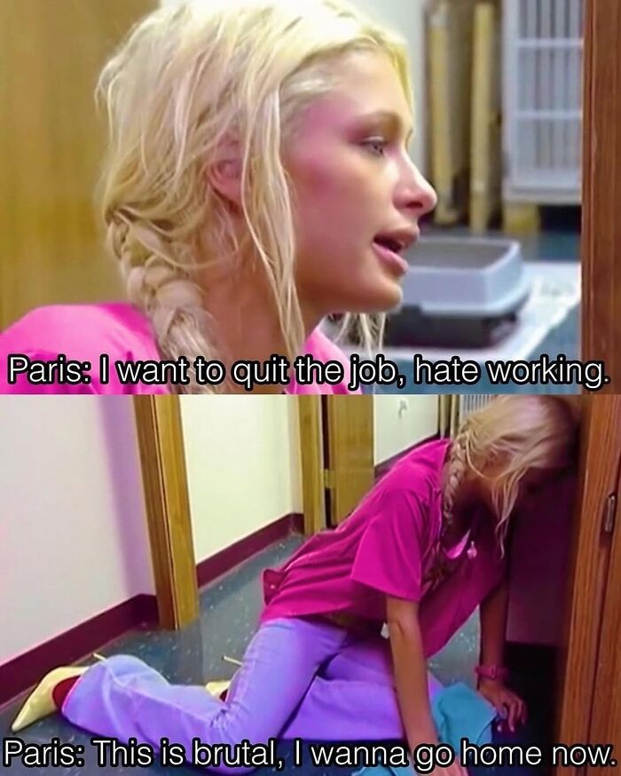 Work Stress? These 77 Memes Get It Totally Right
