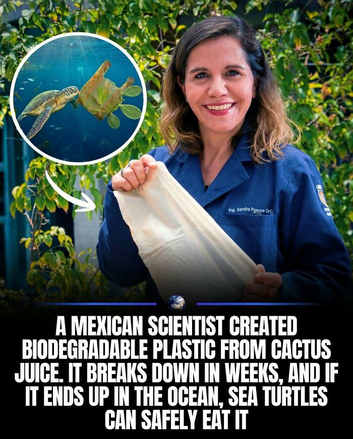 Wait, They Actually Ranked That?! 100 Mind-Blowing Science & Invention Facts