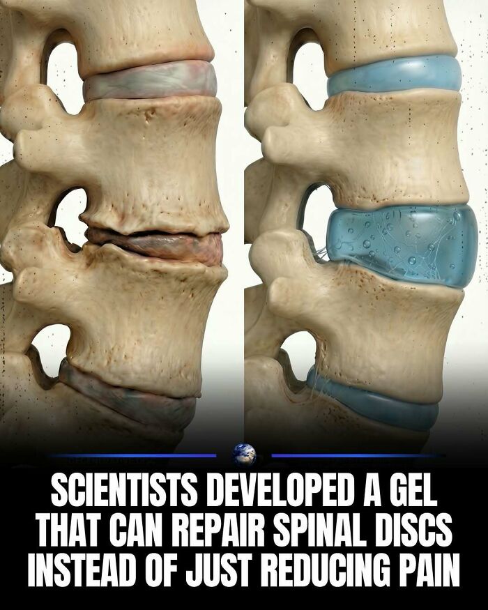 Wait, They Actually Ranked That?! 100 Mind-Blowing Science & Invention Facts