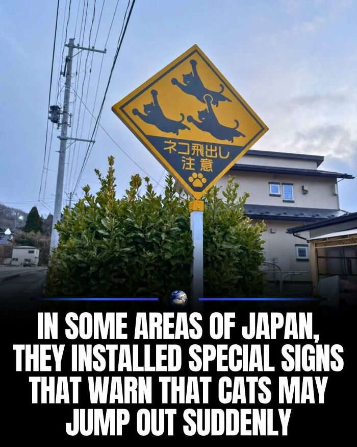Wait, They Actually Ranked That?! 100 Mind-Blowing Science & Invention Facts