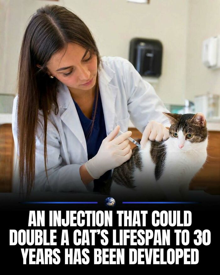 Wait, They Actually Ranked That?! 100 Mind-Blowing Science & Invention Facts