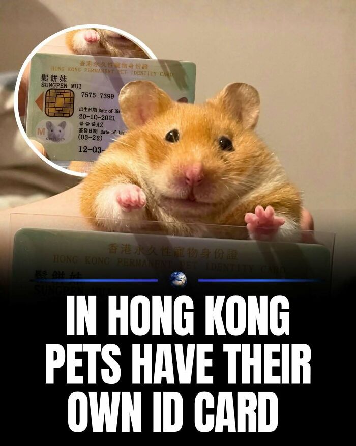 Wait, They Actually Ranked That?! 100 Mind-Blowing Science & Invention Facts
