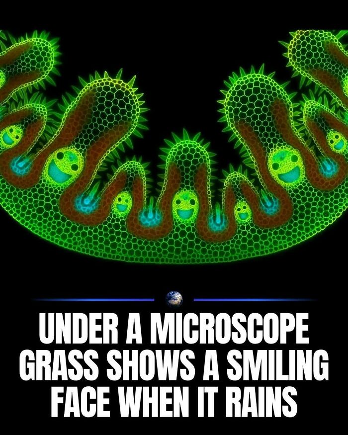 Wait, They Actually Ranked That?! 100 Mind-Blowing Science & Invention Facts