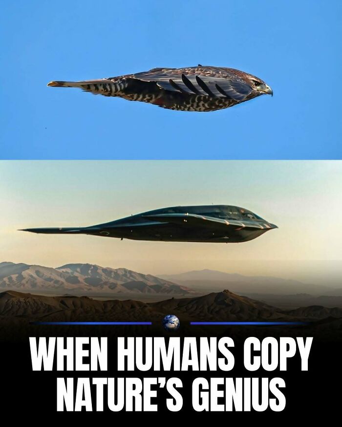 Wait, They Actually Ranked That?! 100 Mind-Blowing Science & Invention Facts