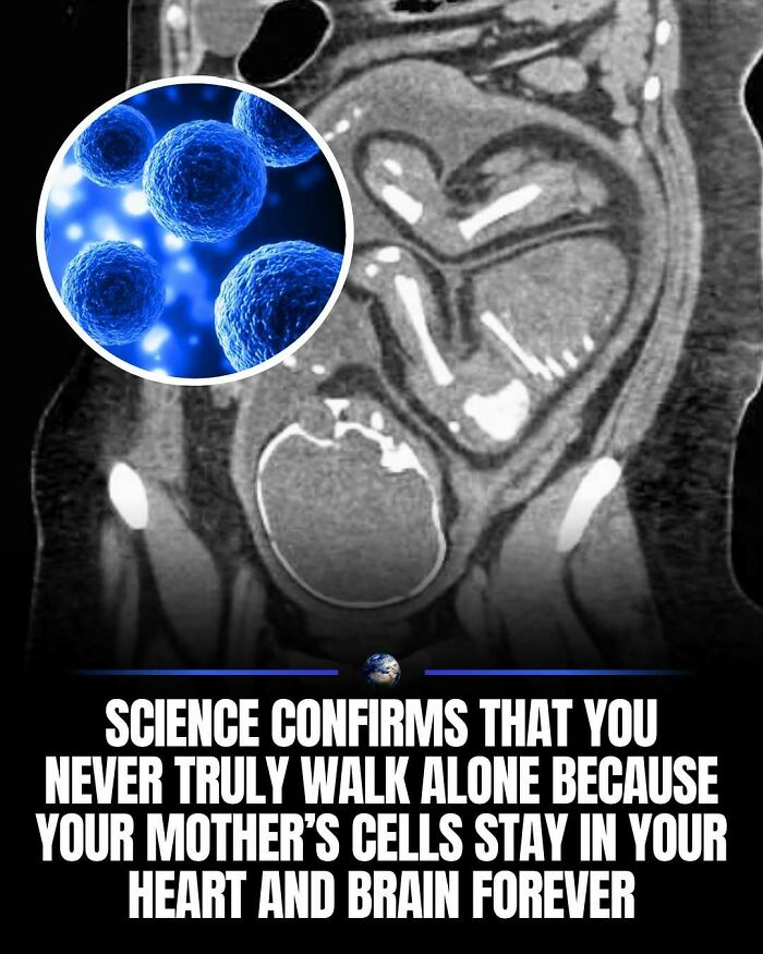 Wait, They Actually Ranked That?! 100 Mind-Blowing Science & Invention Facts