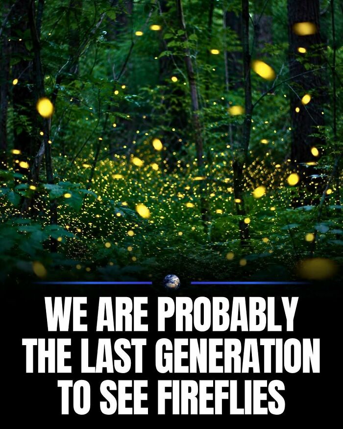 Wait, They Actually Ranked That?! 100 Mind-Blowing Science & Invention Facts