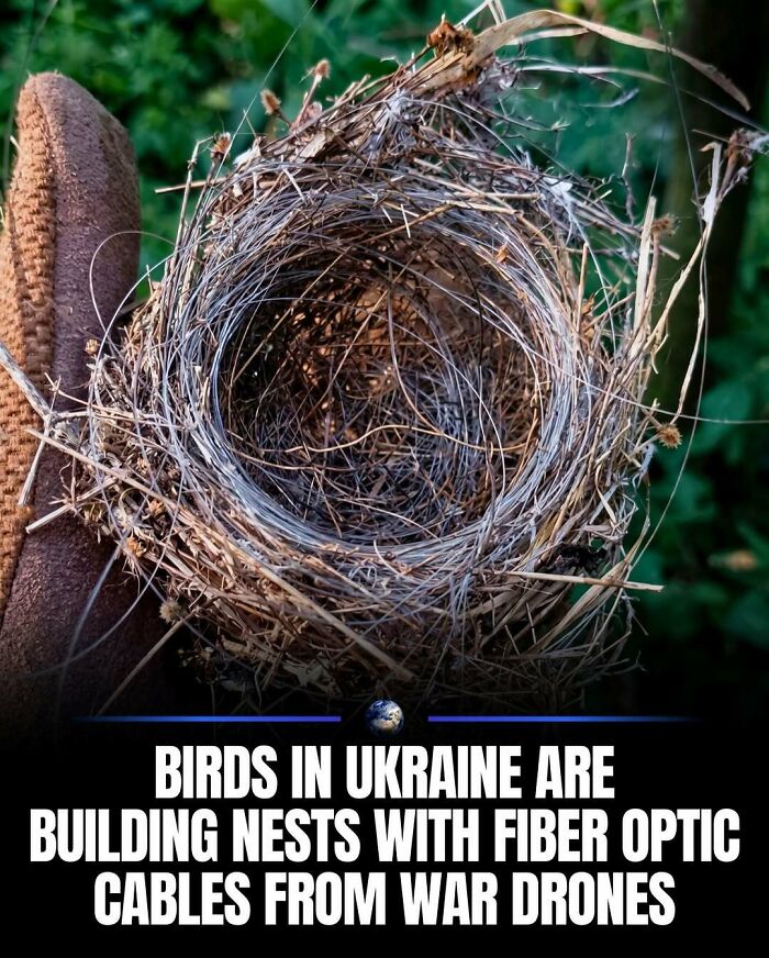 Wait, They Actually Ranked That?! 100 Mind-Blowing Science & Invention Facts