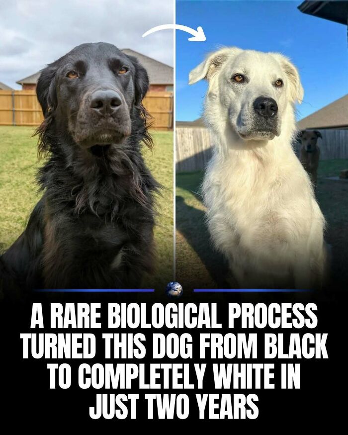 Wait, They Actually Ranked That?! 100 Mind-Blowing Science & Invention Facts