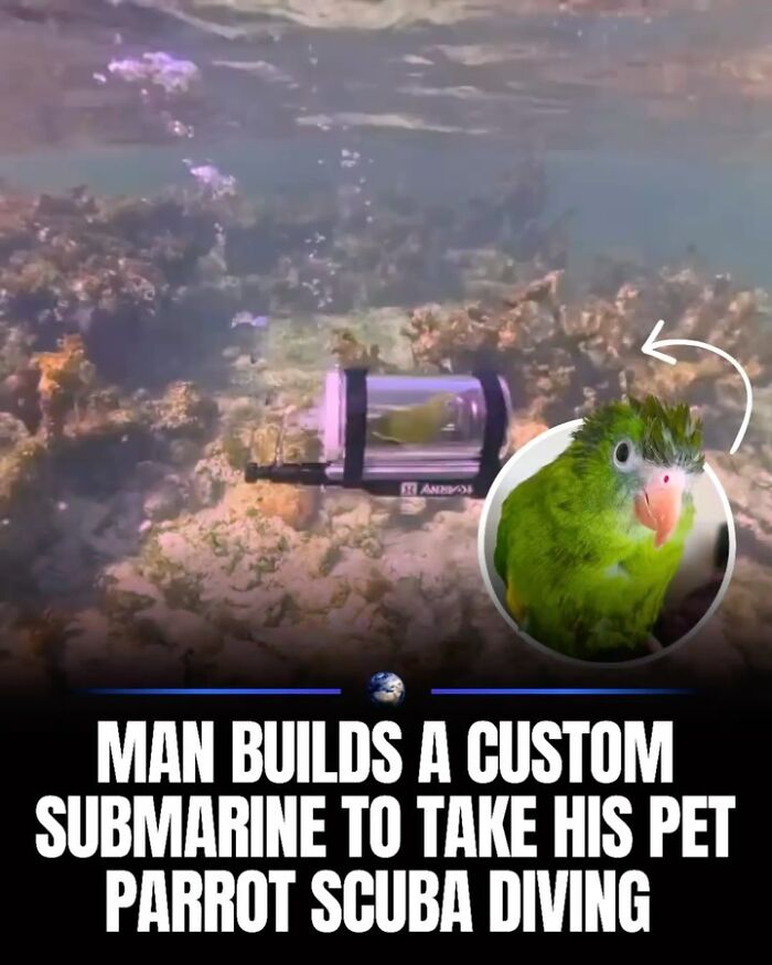 Wait, They Actually Ranked That?! 100 Mind-Blowing Science & Invention Facts