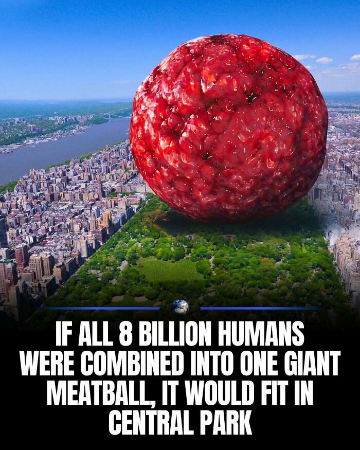Wait, They Actually Ranked That?! 100 Mind-Blowing Science & Invention Facts
