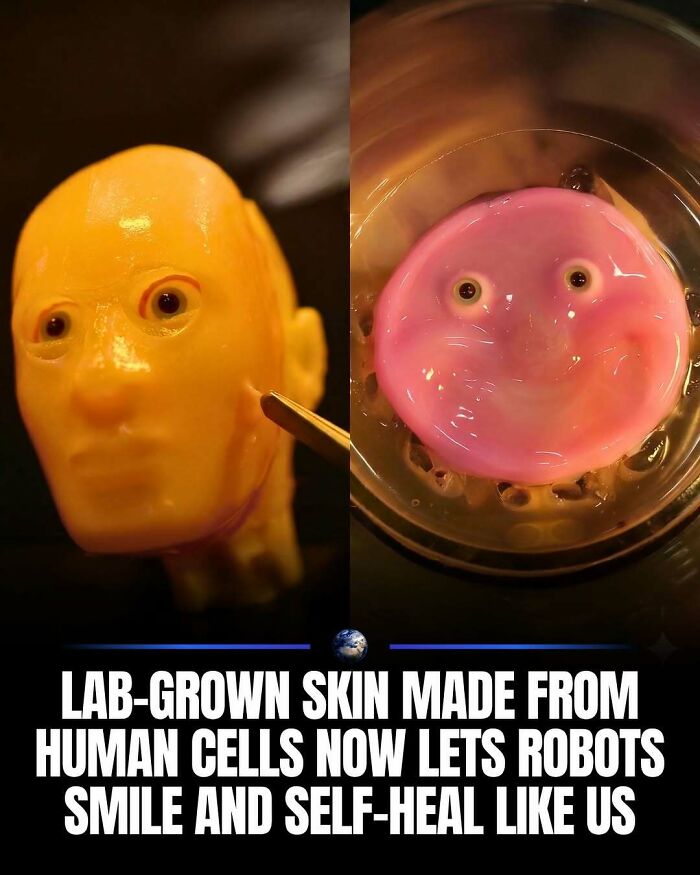 Wait, They Actually Ranked That?! 100 Mind-Blowing Science & Invention Facts